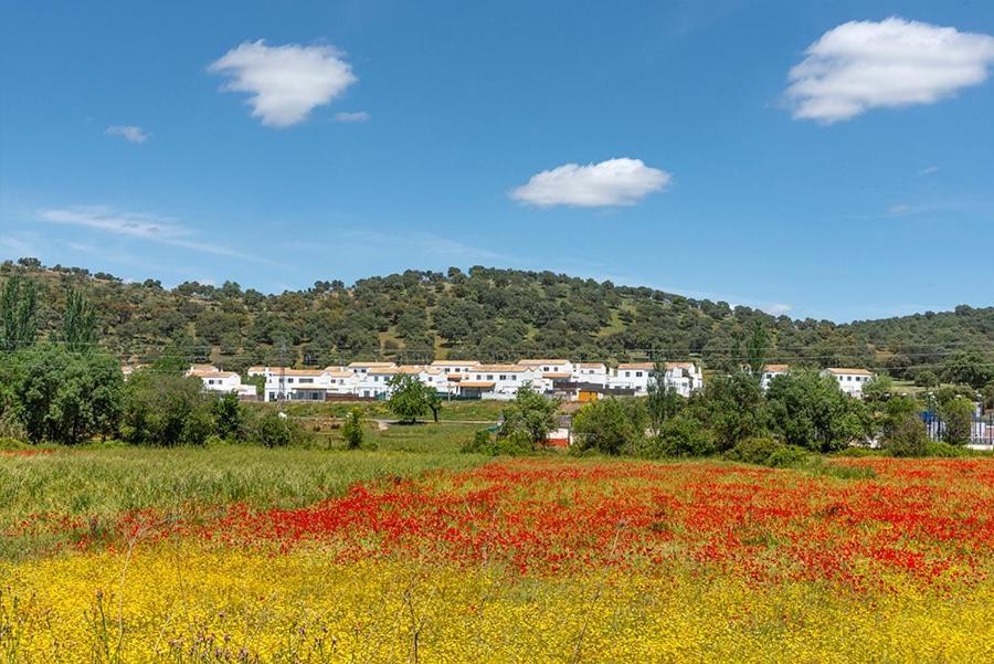 Casa Rural Nacimiento del Huéznar - Tomillo 17 San Nicolás del Puerto Extérieur photo